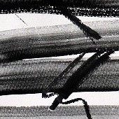 ohne titel, 2020, graphit auf papier, 50x70 cm, copyright axel hptner und vg bildkunst